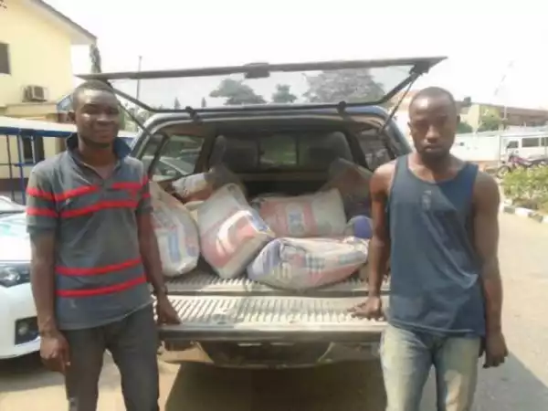 TOO BAD! Lautech Graduate Arrested For Stealing 20 Cement Bags (See Photo)